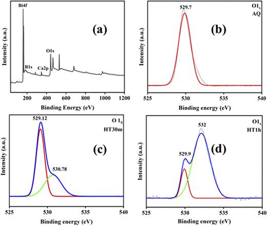 XPS: (a) survey, (b) O1s spectrum (AQ glass), (c) O1s spectrum (HT30m glass-ceramic), and (d) O1s spectrum (HT1h glass-ceramic) samples.