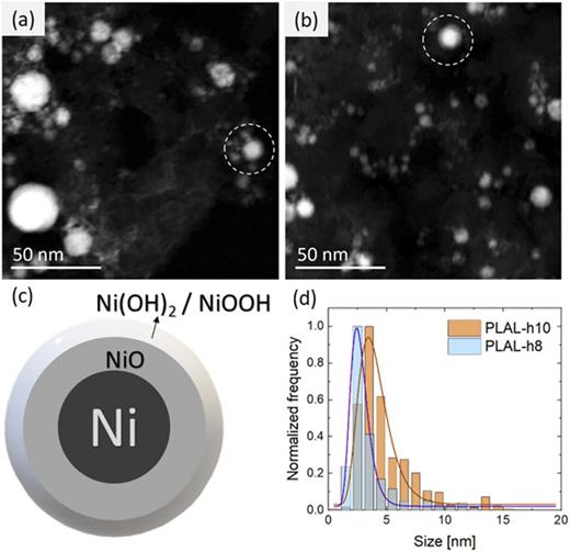(a) and (b) STEM Z-contrast images of PLAL-h8 and PLAL-h10 nanoparticles, respectively. Dashed circles evidence the core–shell structure of some nanoparticles. (c) NPs structure scheme: Ni core with a primary NiO shell and an oxide/hydroxide NiOOH/Ni(OH)2 superficial shell. (d) PSD of PLAL-h8 and PLAL-h10 nanoparticles. The size value is reported in nm. The curves used for the analysis are lognormal.