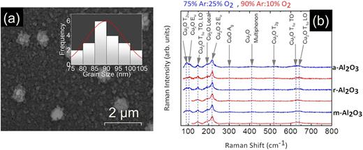 (a) FE-SEM image of a 300 nm Cu2O layer on m-Al2O3; inset shows the histogram of grain size along with normal distribution fit (red line); similar surface morphology was observed on r- and α-Al2O3 substrates. (b) Raman spectra of the Cu2O layers on m-, r-, and a-Al2O3 obtained with different Ar:O2 contents and annealed under Ar:H2 (50%:50% v/v) at 500 °C for 60 min. The vertical line at 300 cm−1 corresponds to CuO (Ag), but we do not observe any clear peak, suggesting that the Cu2O layers do not contain the CuO phase.
