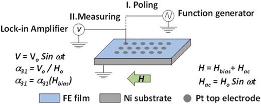 Scheme showing how the magnetoelectric measurements have been carried out in the films.