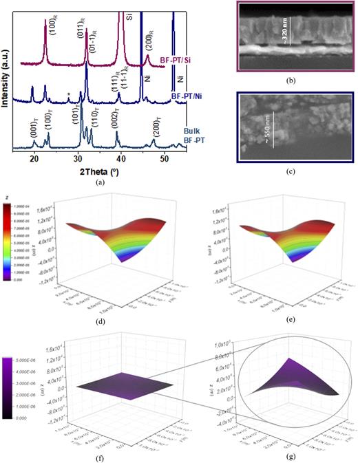 (a) XRD patterns of MPB BiFeO3–PbTiO3 (BF-PT) materials for bulk ceramics18 and thin films on Pt-coated Si and 1.6 mm thick Ni-metal. Cross-sectional FEG-SEM images of the MPB BF-PT films on (b) Pt-coated Si and (c) Ni. 3D surface profilometry scans of (d) the pristine 1.6 mm thick Ni metal substrate, (e) ∼550 nm thick MPB BF-PT film on the Ni substrate, (f) subtraction of the former profiles, which would correspond to the free-standing MPB BF-PT film, and (g) the former profile shown at an amplified scale.