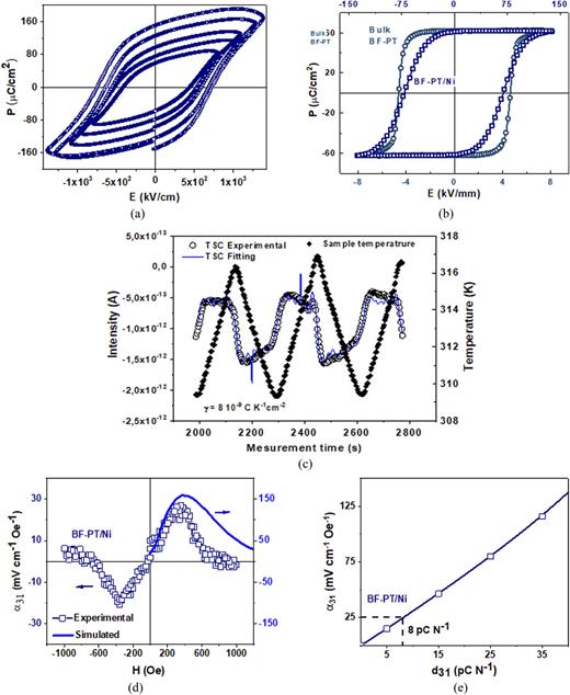 Functional properties of the BiFeO3–PbTiO3 (BF-PT) films on Ni: (a) polarization–electric field (ferroelectric) hysteresis loops measured at increasing electric fields and (b) ferroelectric hysteresis loop of the film (blue curve), obtained at the maximum applied field and after subtracting the non-ferroelectric contributions, compared with that of a bulk ceramic (green curve).18 Note the different electric field scales. (c) Pyroelectricity measured one day after poling the films, showing the retention of the polarization. (d) Experimental and anticipated (simulated) transversal magnetoelectric coefficient, α31, as a function of the bias magnetic field, H, and (e) dependence of the magnetoelectric coefficient, α31, on the film piezoelectric one, d31, obtained by simulation with the COMSOL Multiphysics 6.0 software, indicating the piezoelectric d31 coefficient, which corresponds to the experimental magnetoelectric coefficient, α31.