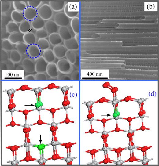 Electronic states and photoluminescence of TiO2 nanotubes with adsorbed ...