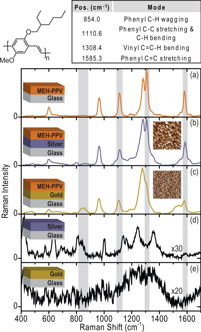 Probing the electrodepolymer interface in conjugated polymer devices with surfaceenhanced