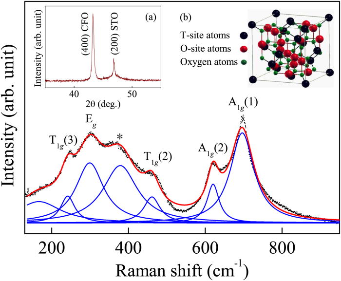 Temperature dependent phonon Raman scattering of highly a-axis oriented ...