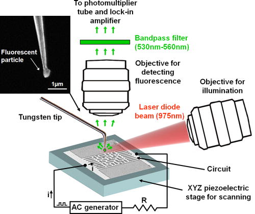 Imaging current paths in complex conductors by scanning fluorescence ...