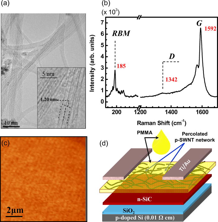 Ambipolar operation of hybrid SiCcarbon nanotube based thin film