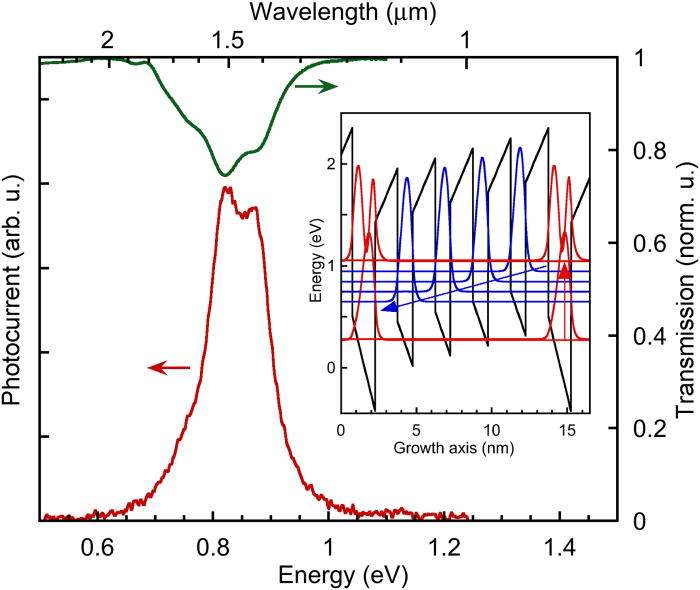 GaN/AlGaN waveguide quantum cascade photodetectors at λ ≈ 1.55 μm with