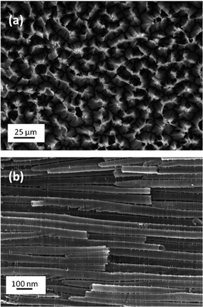 Hybrid pyroelectric/nanotube LiNbO3/TiO2 X-ray source | Applied Physics ...