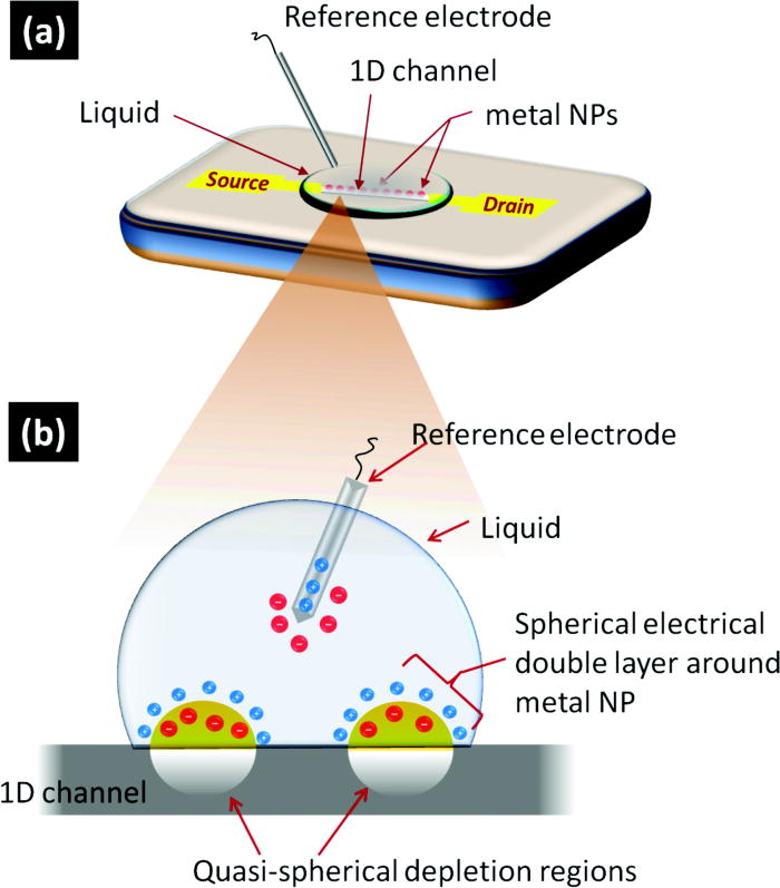 Fieldeffectbased chemical sensing using nanowirenanoparticle hybrids