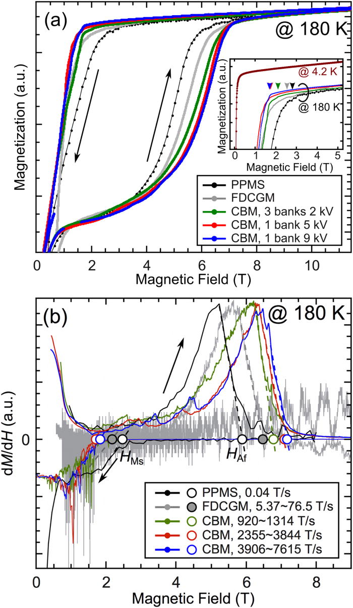 field hysteresis under various sweeping rates for
