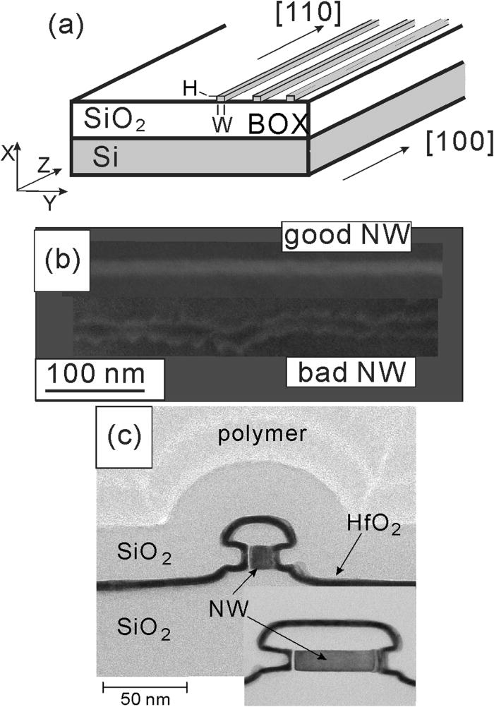 Ultraviolet Raman spectra of single uncoated and SiO2-coated silicon-on ...