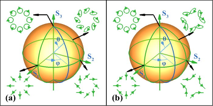 Realization of polarization evolution on higher-order Poincaré sphere ...