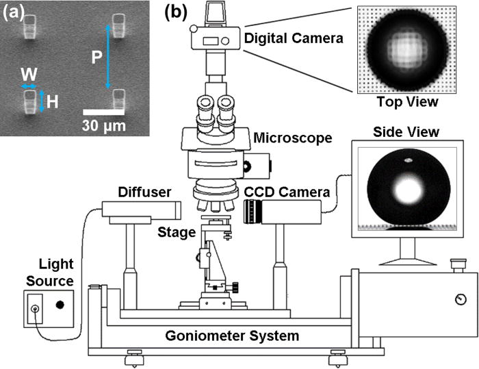 Effect of superhydrophobic surface morphology on evaporative deposition patterns Applied