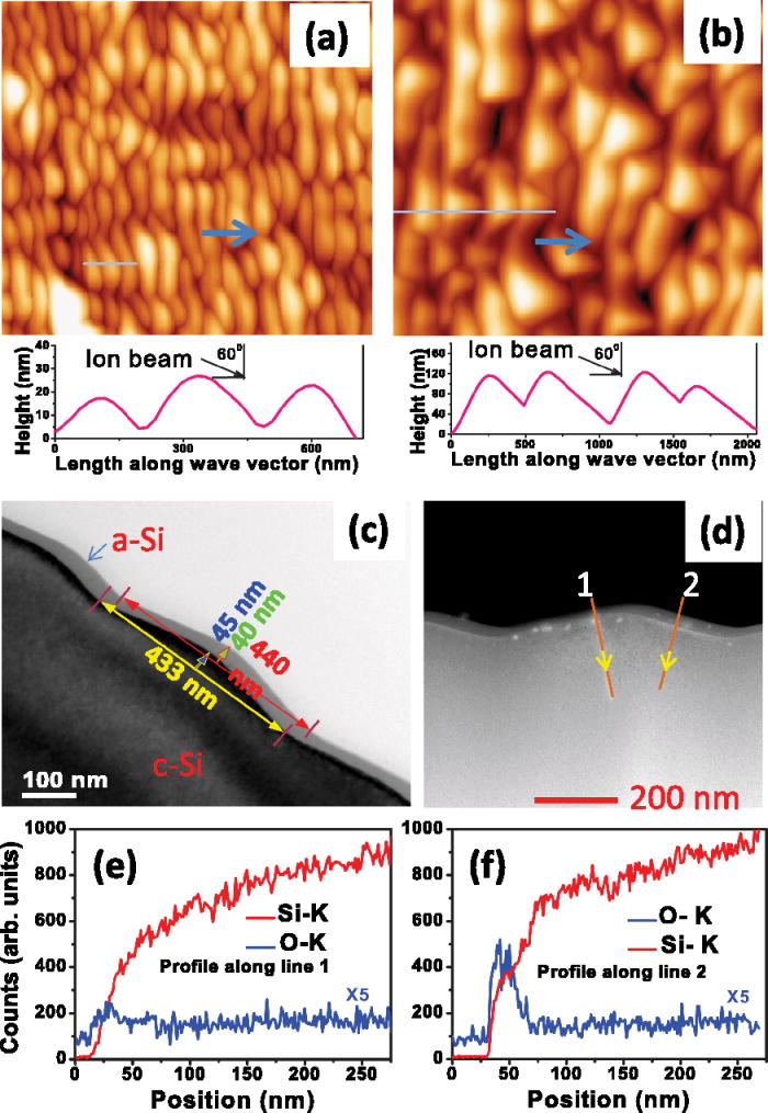 Site specific isolated nanostructure array formation on a large area by ...