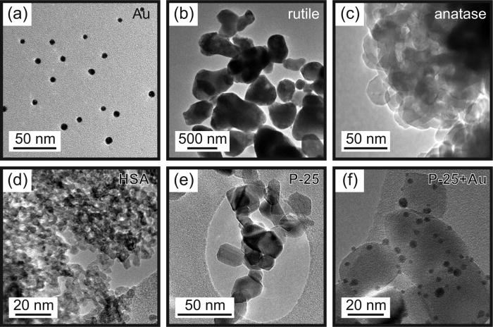 Comparison of Au and TiO2 based catalysts for the synthesis of chalcogenide nanowires