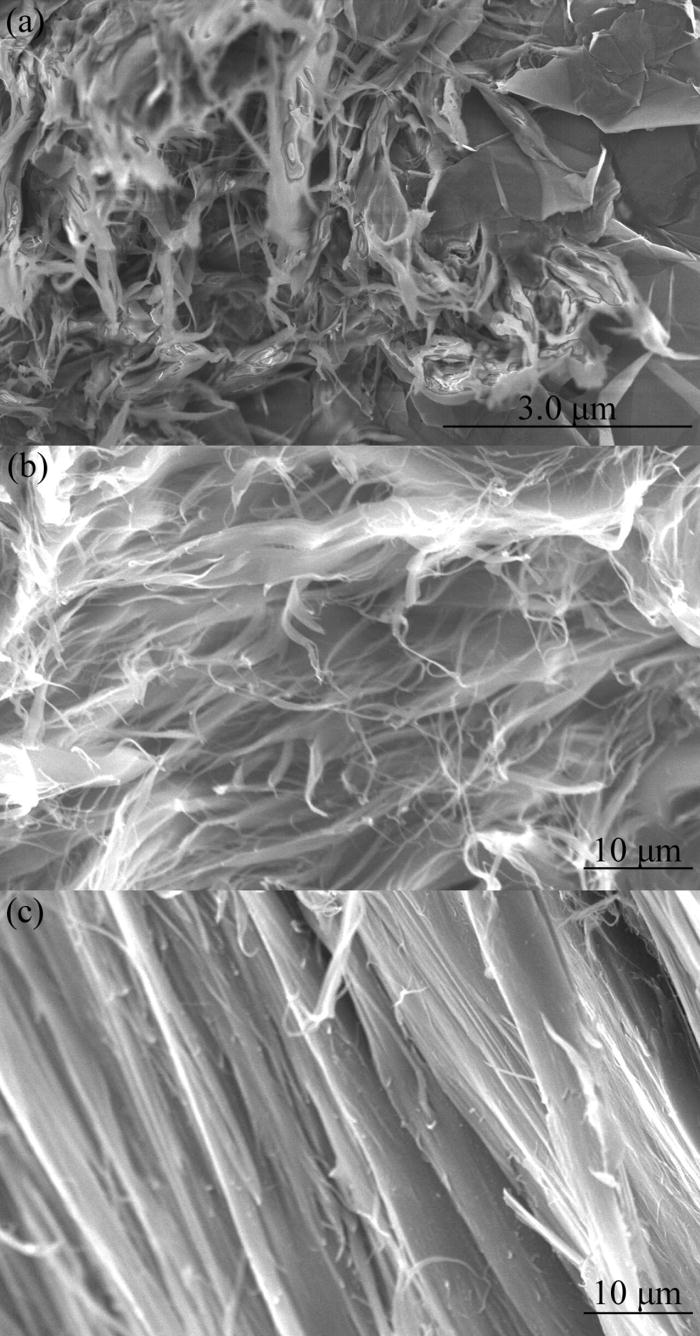 Multifunctional polymer with uniaxially aligned liquid