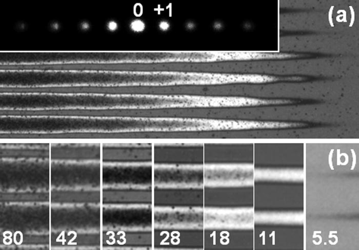 Dynamics of fast pattern formation in porous silicon by laser ...
