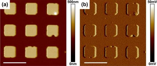 FIG. 5. PDMS micro-grid images obtained in PM mode. (a) Height image, (b) error image. The modulated frequency is 15 kHz, scan rate: 0.75 Hz, it takes time 7 min 15 s. Image data are saved into files which can be displayed and processed through NanoScope Analysis software of Bruker Corporation. Height image is flatten-processed. Bar: 10 μm.