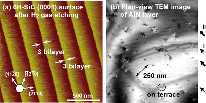 Formation mechanism of threading-dislocation array in AlN layers grown ...
