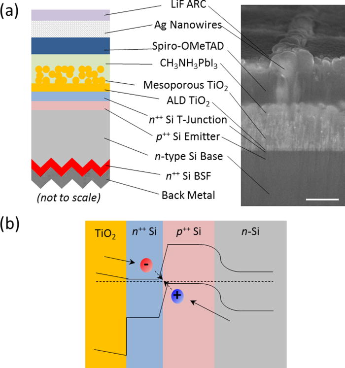 A 2terminal perovskite/silicon multijunction solar cell enabled by a