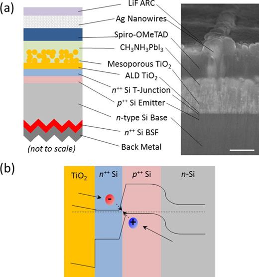 A 2terminal perovskite/silicon multijunction solar cell enabled by a