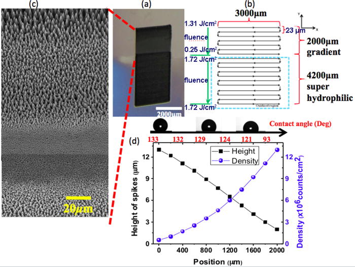 Gradient induced liquid motion on laser structured black Si surfaces ...