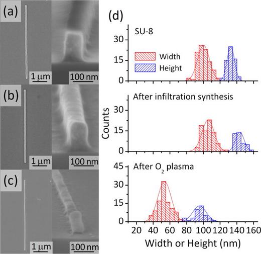 FIG. 2. Representative SEM micrographs (top (left) and 70° cross-sectional (right) views): (a) Initial SU-8 nanowire templates; (b) SU-8 templates after 4 cycles of ZnO infiltration synthesis; and (c) the final ZnO nanowire after oxygen plasma removal of the polymer matrix. (d) Histograms of size (width and height) distribution during each stage of infiltration synthesis.