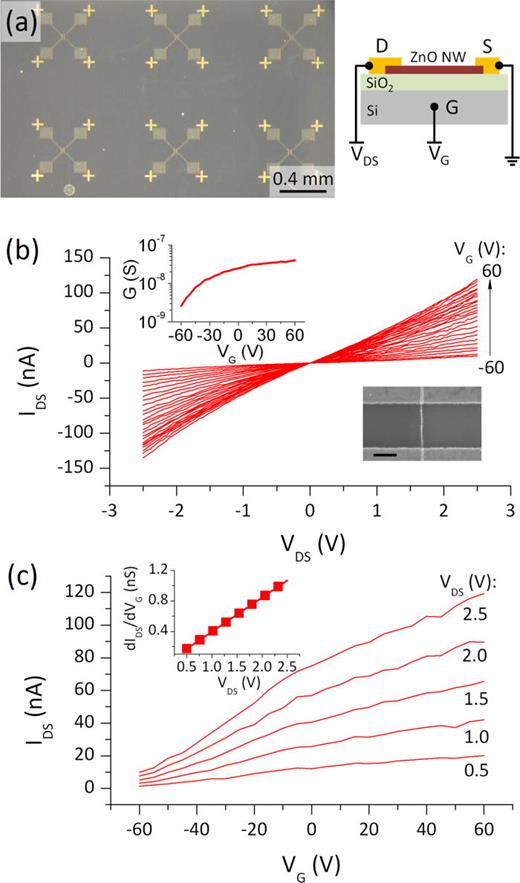 FIG. 4. (a) Top-down optical micrograph of ZnO nanowire FET arrays fabricated via the infiltration synthesis of ZnO in patterned SU-8 polymer templates with the schematic (right) depicting the nanowire FET cross-section (S, D, G, and NW denote source, drain, gate, and nanowire). (b) VG-dependent IDS-VDS characteristics of a ZnO nanowire FET, with the top-left inset showing the dependence of the zero-bias conductance (G at VDS = 0) on VG. The bottom-right inset shows a SEM micrograph of the nanowire FET channel, with the scale bar marking 500 nm. (c) VDS-dependent IDS-VG characteristics of the ZnO nanowire FET, with the inset showing VDS-dependent transconductance (dIDS/dVG).