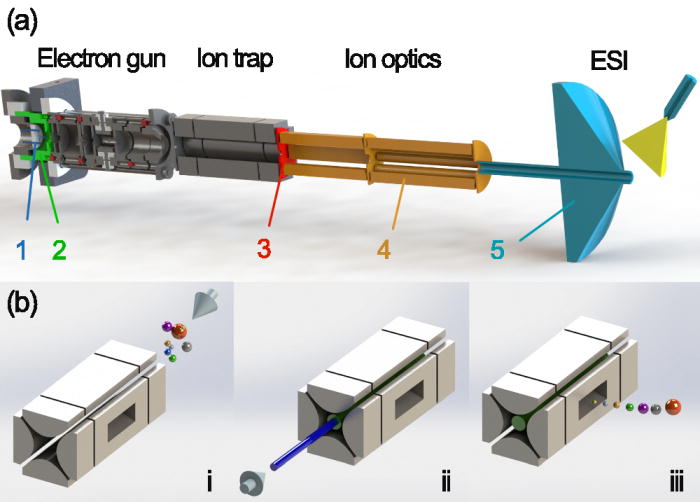 Electron impact action spectroscopy of mass/charge selected ...