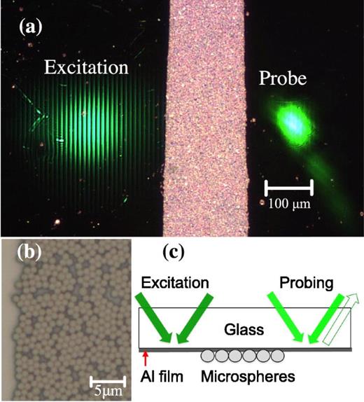 FIG. 1. (a) Photograph of the sample; excitation and probe spots on either side of the microsphere strip are visible due to partial transmission of light through the aluminum layer. (b) Magnified view of the spheres. (c) Schematic diagram of the measurement: SAWs are excited by a pair of crossed excitation pulses, travel through a microsphere-coated region and are detected via diffraction of the probe beam. The reference beam used for heterodyne detection is overlapped with the probe.