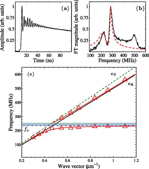 FIG. 4. (a) Typical signal waveform inside the strip (acoustic wave vector 0.546 μm−1) and (b) its FT spectrum (solid line) and a fitted spectrum consisting of a linear combination of two Lorentzians (dashed line) with complex frequencies that are calculated from the dispersion equation with a damping term. (c) Measured (symbols) and calculated (red curves) surface acoustic wave dispersion inside the strip. The solid black line is the calculated Rayleigh SAW dispersion without microspheres. The horizontal dashed-dotted line corresponds to the microsphere contact resonance frequency f0. The dashed line corresponds to the bulk transverse velocity of the substrate. The shaded stripe shows the band gap.