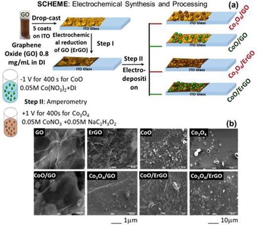 FIG. 1. (a) Schematic illustrations of electrodeposition and processing steps for graphene-based hybrids with cobalt oxides. (b) Representation of scanning electron microscopic images of GO, ErGO, CoO, and Co3O4 and hybrids CoO/GO, Co3O4/GO, CoO/ErGO, and Co3O4/ErGO reveal the surface morphology. Scale bars are shown at the bottom of images.