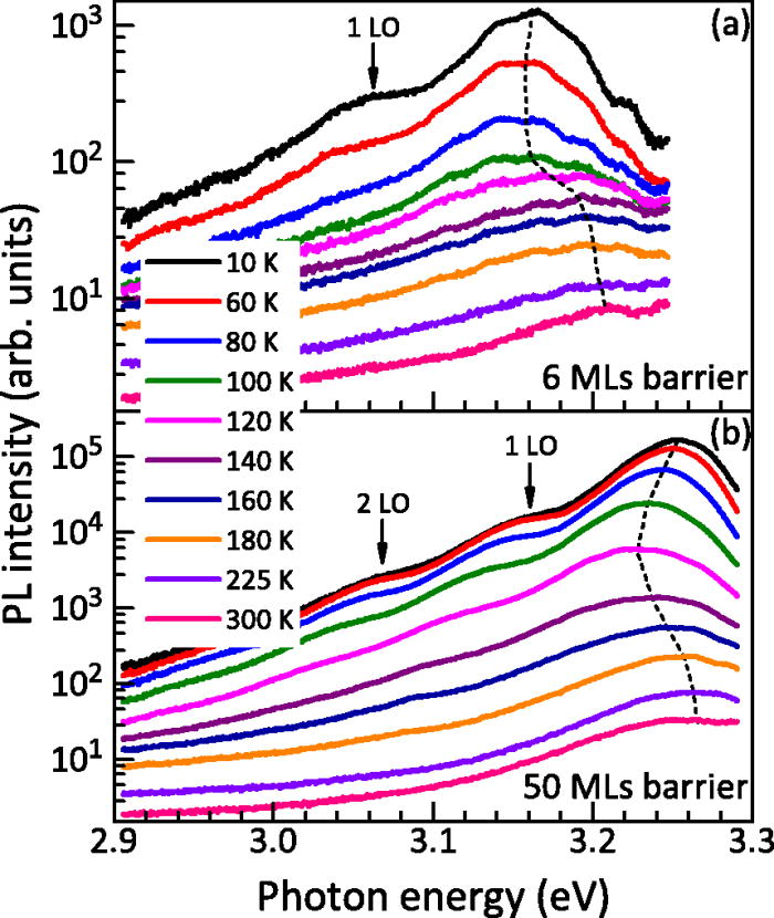 Individual electron and hole localization in submonolayer InN quantum