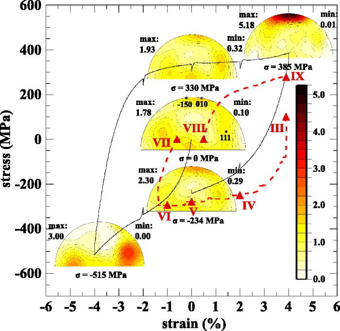 Texture evolution during isothermal, isostrain, and isobaric loading of ...