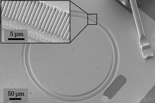 FIG. 1. Scanning electron microscopy image of a ring interband cascade laser. The device has an outer diameter of D = 400 μm and the waveguide width is w = 10 μm. The inset shows a close-up of the metal-covered 2nd-order distributed feedback grating.