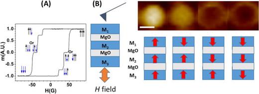 FIG. 2. Magnetic properties of MTJ structures. (a) m-H loops of the structures. (b) Field-applied MFM (magnetic force microscopy) measurement of the sub-20-nm (∼17 ± 2 nm) of dual magnetic tunneling junction structures.