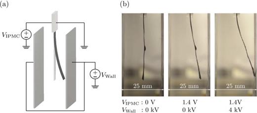 FIG. 1. (a) Schematics of the experimental setup. The lighter shape indicates the undeformed configuration of the IPMC, while the darker shape represents its deformed configuration. (b) IPMC deflection for different experimental conditions. From left to right: initial shape without actuation; deflection due to internal actuation; and deflection induced by simultaneous internal and electrostatic actuation.