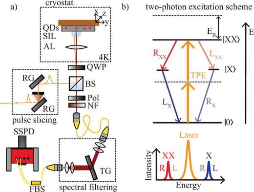 FIG. 1. (a) Confocal micro-photoluminescence spectroscopy setup with pulse-slicer, closed-cycle cryostat, polarization suppression, transmission spectrometer, and superconducting single-photon detectors (SSPDs). Additional optical components: reflection grating (RG), polarizer (Pol), beamsplitter (BS), quarter waveplate (QWP), aspheric lens (AL), solid immersion lens (SIL), notch filter (NF), transmission grating (TG), and fiber beamsplitter (FBS). (b) Two-photon excitation scheme to resonantly excite the biexciton state with two laser photons (orange). Top: Three level energy scheme of the biexciton–exciton cascade. Bottom: Visualization of the two-photon excitation spectrum.