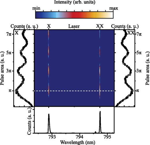 FIG. 2. Color-coded photoluminescence spectra of the biexciton–exciton cascade under resonant two-photon excitation as a function of the excitation pulse area. Integrated peak intensity of the X (XX) emission is shown to the left (right) of the color map, undergoing Rabi-oscillations. The spectrum shown in the bottom is excited with a pulse area corresponding to a π-pulse and is indicated by the horizontal dashed line.