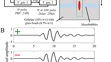 Pulse inversion enhances the passive mapping of microbubble-based ...