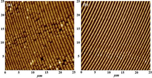 FIG. 2. AFM images of the structured PDMS surfaces without nanoparticles (a) and with nanoparticles (b).