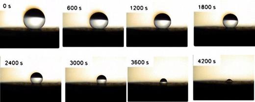 FIG. 3. Snapshots of an evaporating droplet with the time interval of 600 s.