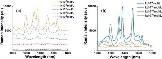 FIG. 6. Raman spectra of Rhodamine 6G with various concentrations deposited on the glass substrate (a) and the superhydrophobic surface with nanoparticles (b).