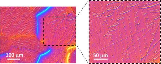 FIG. 1. Magnetic domain observation in the arc-melted 19%Ga polycrystal with a zoomed-in portion showing the cellular domain structure in one of the grains.