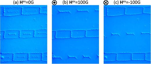 FIG. 5. Response of the cellular domains in Fe-18.07%Ga single crystal to a magnetic field perpendicular to the (001) surface: (a) 0 G, (b) 100 G along [001] (out of the surface), and (c) 100 G along [001¯] (into the surface).