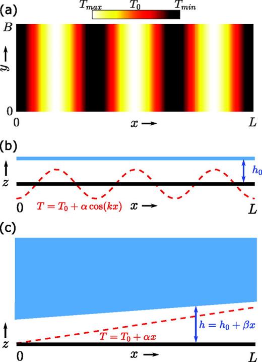 FIG. 3. Analytical model setup depiction: (a) 2D model: sinusoidal temperature distribution in x on a substrate with length L and breadth B; (b) 2D model: depiction of the xz view with a constant vapor layer thickness; (c) 1D model: depiction of the varying vapor layer thickness on a substrate with a linear temperature variation.