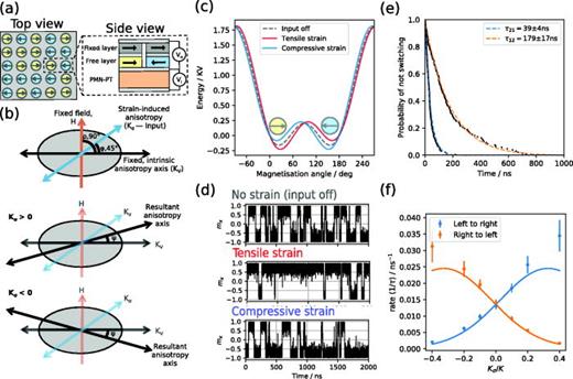 FIG. 1. (a) Schematic of a 25 dot ensemble. Vi and Vo show where voltage is input and output. The remainder of this figure considers single nanodots from the larger ensemble. (b) Schematic of the control mechanism for the dots. Application of an additional strain-mediated anisotropy acts to rotate the anisotropy axis with respect to the fixed field. Behavior in a single dot is shown, but the strain is applied to the whole ensemble. (c) Energy landscape for a nanodot under strain as given by Eq. (1) for kσ=±0.2, h = 0.4, ϕ=45°, and ρ=90°. (d) Micromagnetic simulations of thermally activated switching in a single 40 nm diameter, 4 nm thickness CoFeB cylinder with 8.2 kJ m−3 intrinsic uniaxial anisotropy and a field (h = 0.4) applied at 90° to the anisotropy axis. Top, no strain (kσ=0), unbiased. Middle, tensile applied strain (kσ=+0.2), rightward pointing state preferred. Bottom, compressive applied strain (kσ=−0.2), leftward pointing state preferred. (e) Multiple switches are sampled from the tensile strain micromagnetic simulation to plot the probability of not-switching as a function of time in the state. Average dwell time in the leftward state is shorter than in the rightward state. (f) Switching rate vs applied anisotropy for a single nanodot. The points are for the micromagnetic simulations. The curves are rates for the energy barriers given by the Stoner–Wohlfarth model [Eq. (1)].