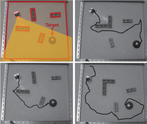 FIG. 3. Robot experiments. A robot was placed on fields with obstacles and was directed toward the goal. Movies of the experiments are available in supplementary material, Video S1.