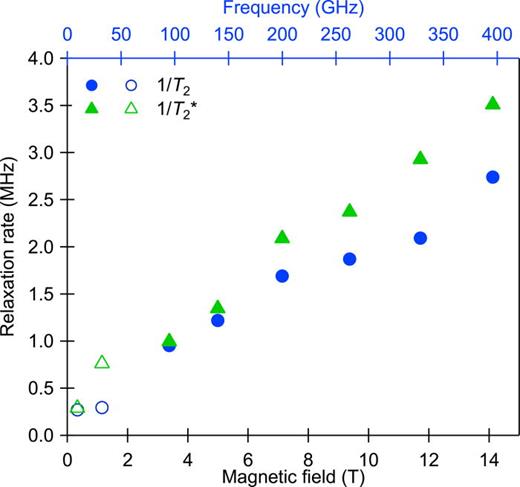 Magnetic field dependence of the electron spin relaxation times T2 and     T 2 * in LiPc at room temperature. Low field values (open markers) are taken from Ref. 36.